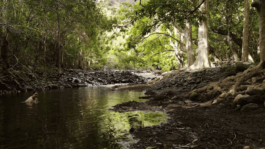 Black River Gorges Trek & River Immersion Adventure
