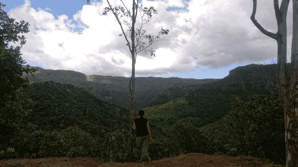 Picture 2 for Activity Black River Gorges Trek & River Immersion Adventure