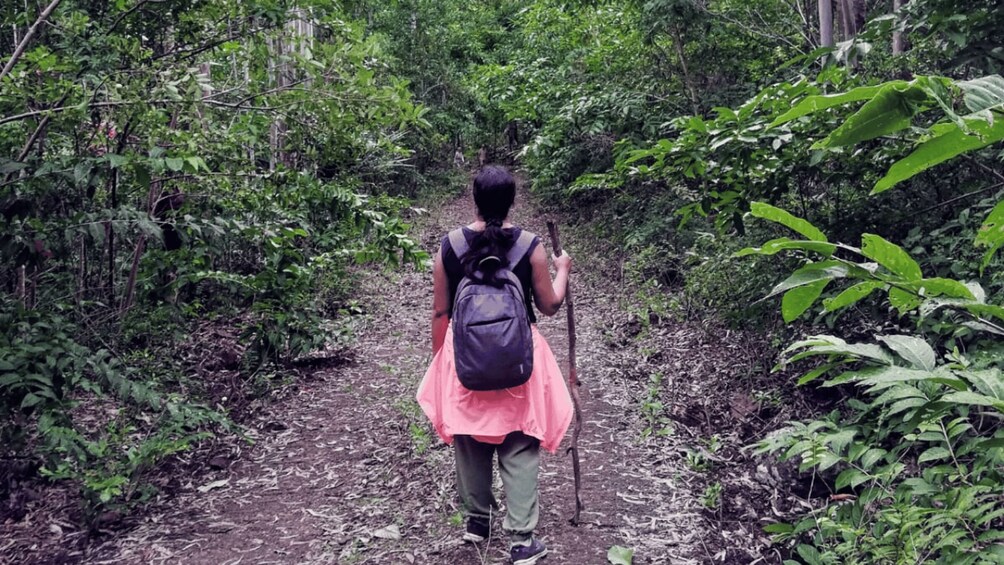 Picture 1 for Activity Black River Gorges Trek & River Immersion Adventure