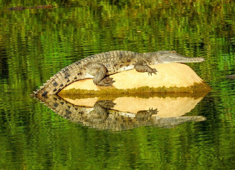 Kimberley: 9 Day Tour from Darwin to Broome