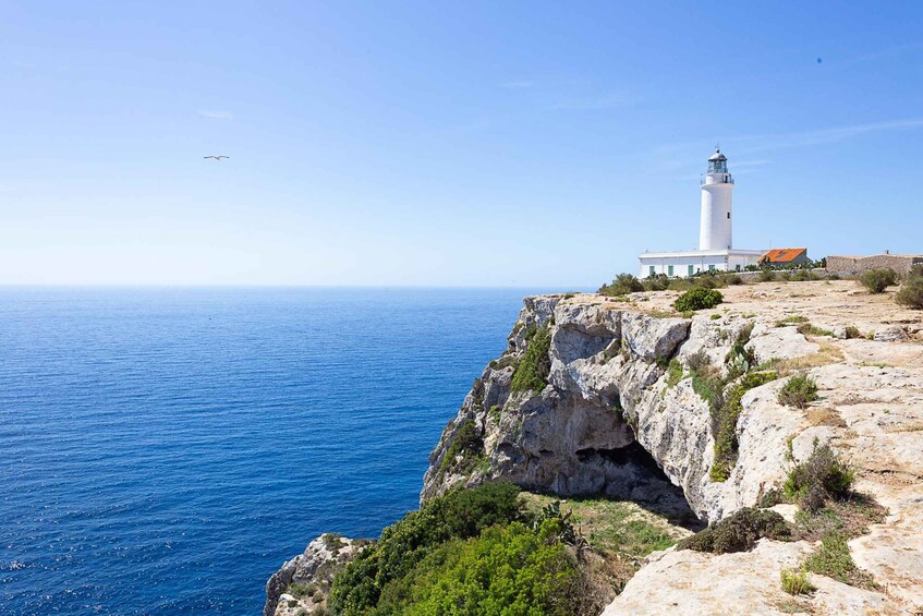 Picture 11 for Activity Ibiza: Full-Day Boat Trip to Formentera w/ Food and Open Bar