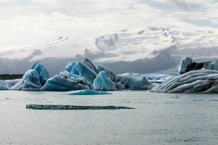 Reykjavik: Diamond Beach and Glacier Lagoon Private Tour