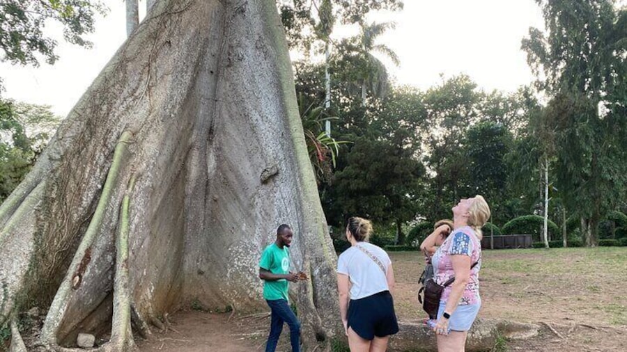 Escape Accra for Aburi Gardens, Waterfalls & Cocoa Farm Tour