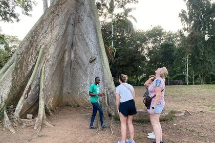 Escape Accra for Aburi Gardens, Waterfalls & Cocoa Farm Tour