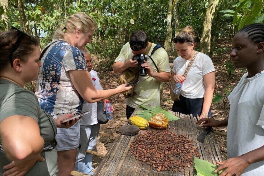 Escape Accra for Aburi Botanical Gardens & Cocoa Farm Experience 