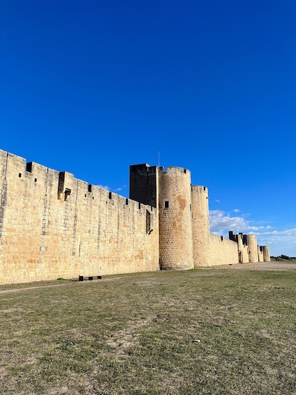 Picture 1 for Activity Half day Camargue wine tour: fortified city and rosé wines