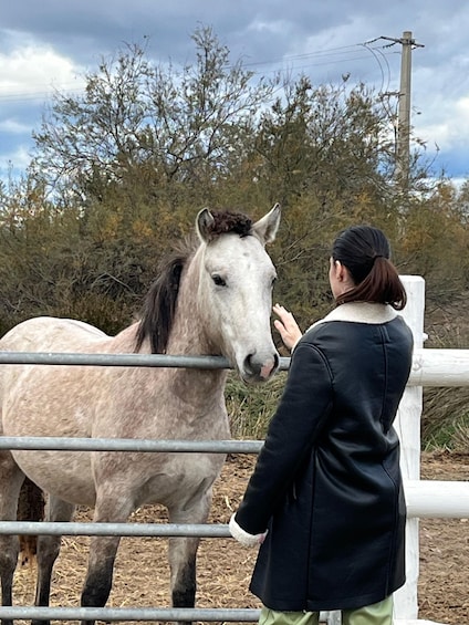 Picture 2 for Activity Half day Camargue wine tour: fortified city and rosé wines