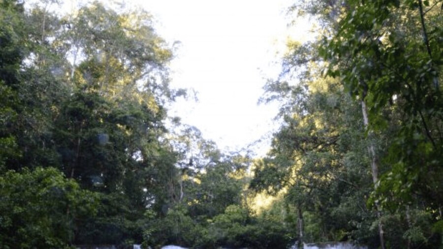 4 Days Kayak Tour in Lacandona Jungle