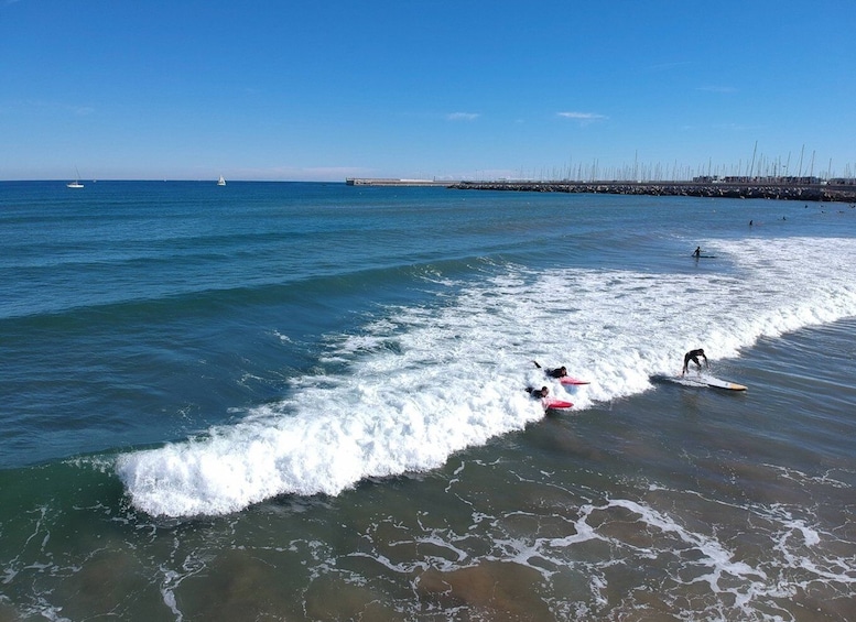 Picture 4 for Activity Valencia: Malvarrosa Beach Beginner Surf Class