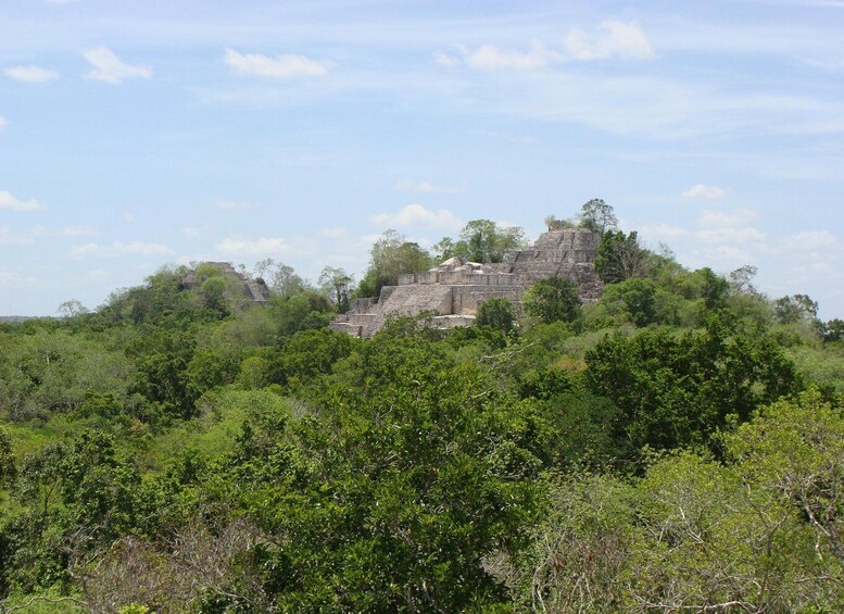 Picture 2 for Activity Calakmul: Two Days Hidden Palaces in the Jungle