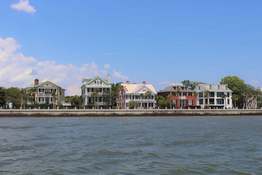 Picture 3 for Activity Charleston: Private Sightseeing & Dolphin Watching Boat Tour