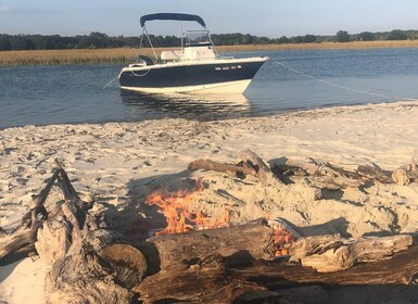 Charleston: Visita turística privada y excursión en barco para avistar delf...