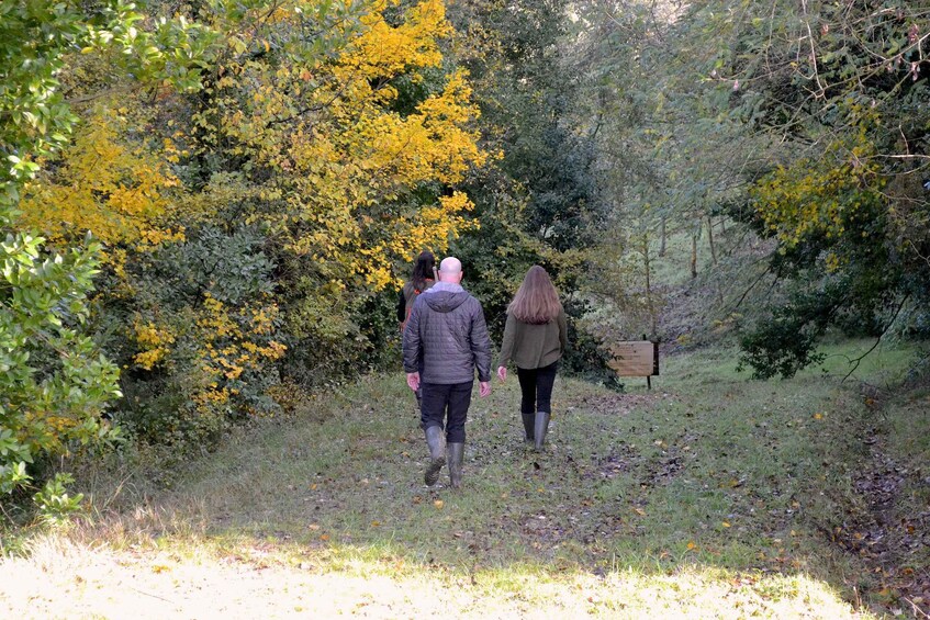 Picture 8 for Activity San Miniato: Truffle Hunting, Food, and Gourmet Experience