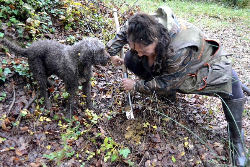 Picture 3 for Activity San Miniato: Truffle Hunting, Food, and Gourmet Experience