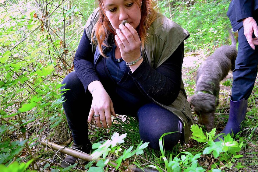 San Miniato: Truffle Hunting, Food, and Gourmet Experience