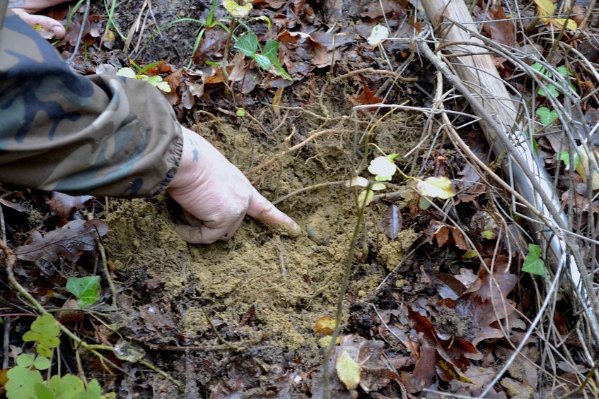 Picture 5 for Activity San Miniato: Truffle Hunting, Food, and Gourmet Experience