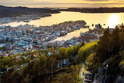 3 i 1 - Bergen Fjord Cruise, City Walk & Mt Flöyen Funicular