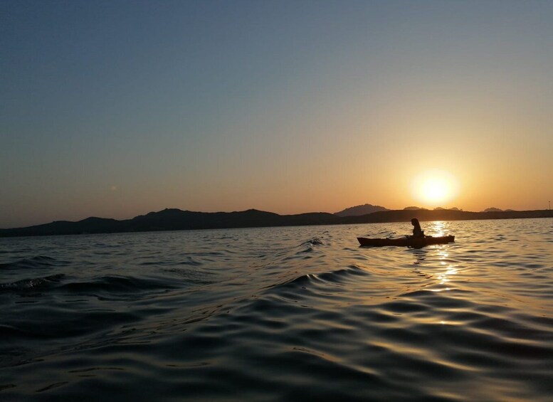 Picture 7 for Activity Golfo Aranci: Sunset Dolphin Kayak Tour with Aperitif