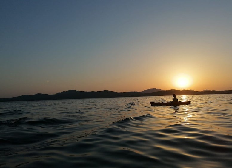 Picture 7 for Activity Golfo Aranci: Sunset Dolphin Kayak Tour with Aperitif