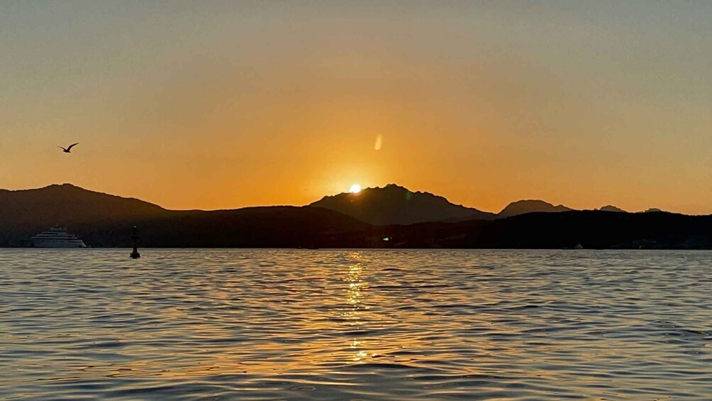 Picture 4 for Activity Golfo Aranci: Sunset Dolphin Kayak Tour with Aperitif