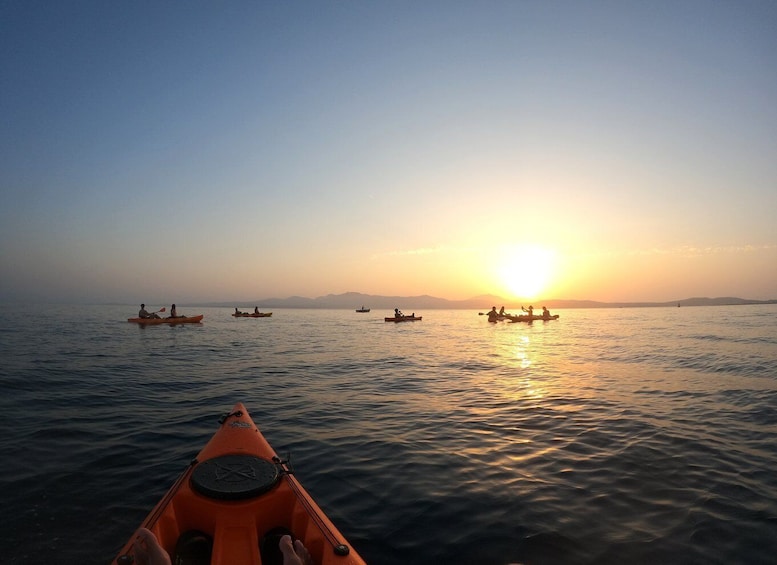 Picture 2 for Activity Golfo Aranci: Sunset Dolphin Kayak Tour with Aperitif