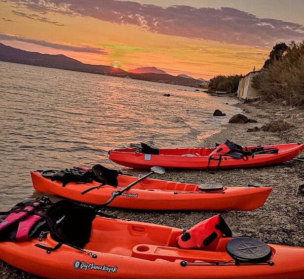 Picture 5 for Activity Golfo Aranci: Sunset Dolphin Kayak Tour with Aperitif