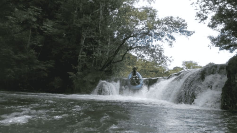 Picture 2 for Activity Rio Lacanja: 2-Day Rafting Adventure in the Lacandon Jungle