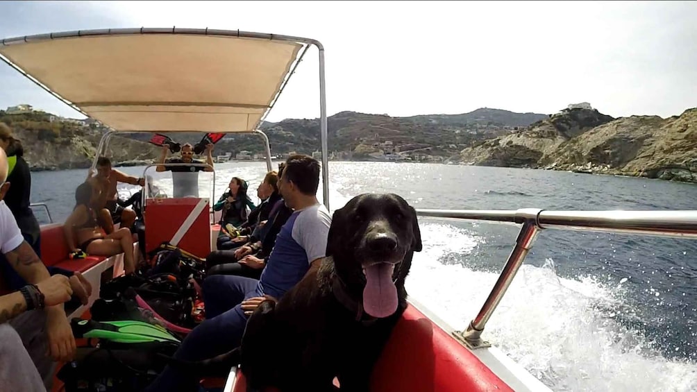 Picture 1 for Activity Snorkeling trip with Motor Boat around Agia Pelagia