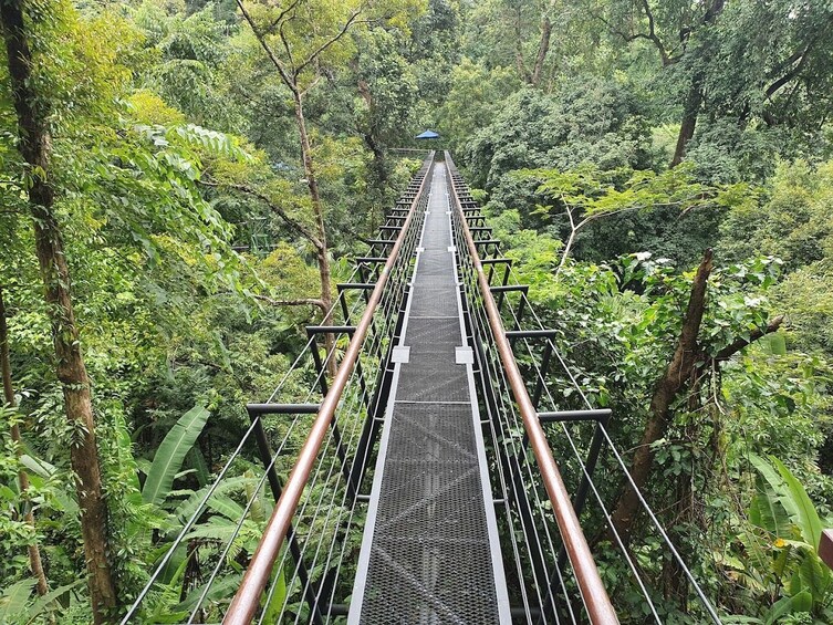 Phuket Hanuman World Zipline Adventure Tickets