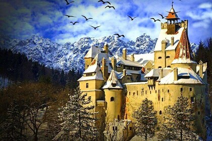 Private Day Trip to Transylvania: Dracula, Sinaia & Brasov (from Bucharest)