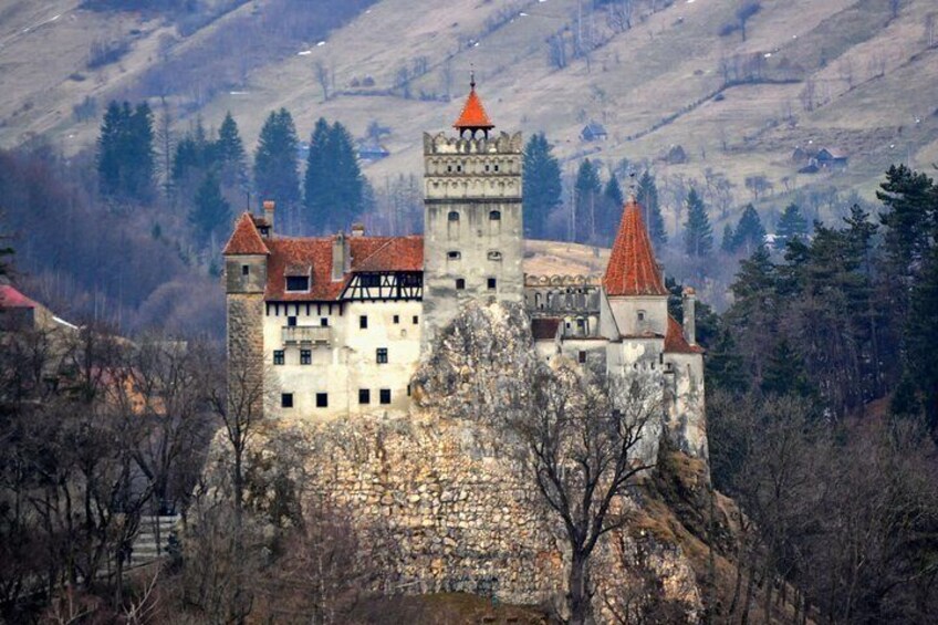 Dracula Castle