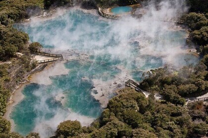 Rotorua Highlights - Budget Small Group Day Tour from Auckland