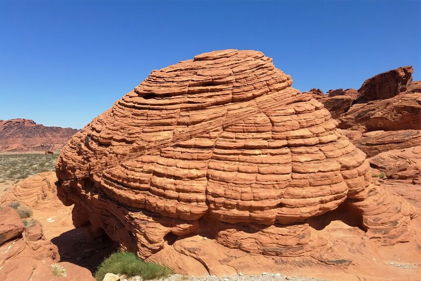 Combo Tour: Red Rock Canyon & Valley of Fire Full-Day Tour