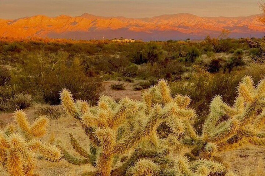 Sunrise Guided Hike in Phoenix, Arizona