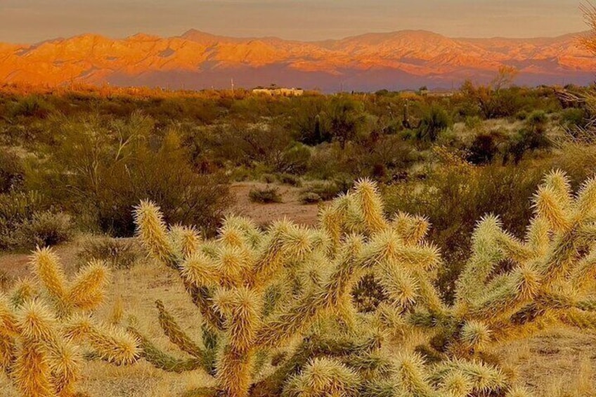 Sunrise Guided Hike in Phoenix, Arizona