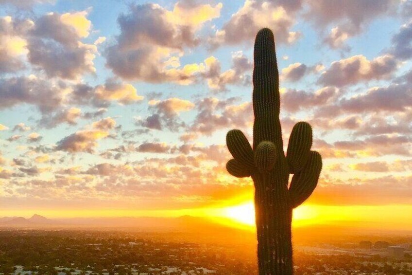 Sunrise Guided Hike in Phoenix, Arizona