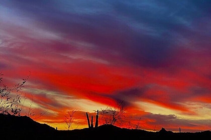 Spectacular Sunrise Guided Hike in Phoenix, Arizona