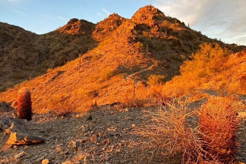 Sunrise Guided Hike in Phoenix, Arizona