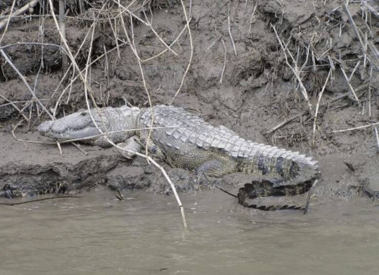 Picture 1 for Activity San Cristobal: 2 Days in the Southern Selva Lacandona Tour