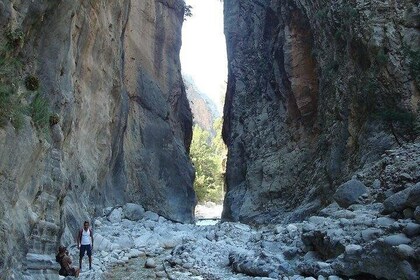 Chania: Samaria Hiking Tour (with local guide)