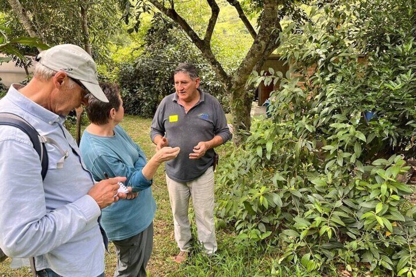 Organic Coffee Farm Tour