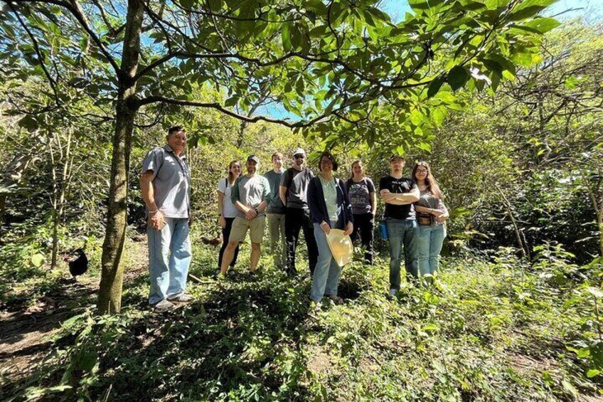 Coffee Farm Tour Loja Ecuador