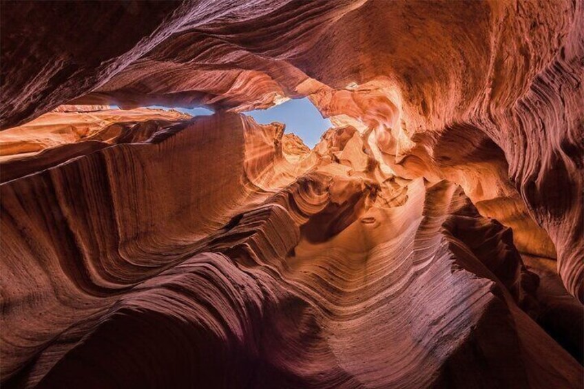X Canyon Guided Tour Admission Ticket