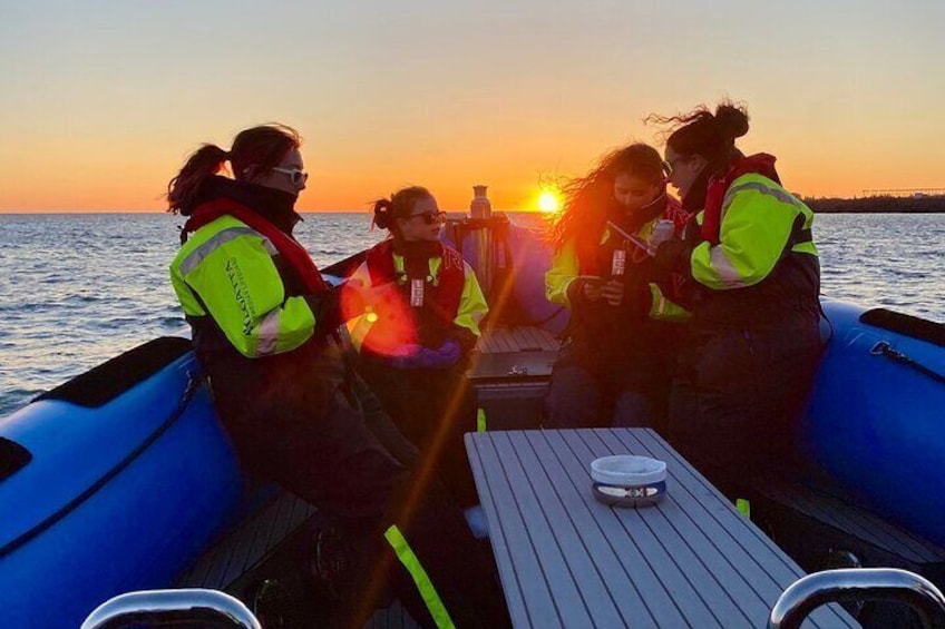 Private Boat Adventure in Reykjavik, Iceland