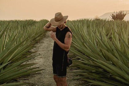 Il viaggio del Mezcal