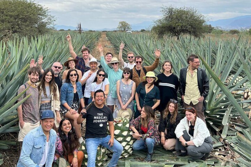 The Mezcal Journey