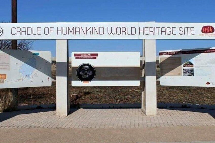 Cradle of Human Kind & Lion & Rhino Park Tour Full day Tour Private