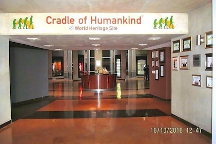 Cradle of Human Kind & Lion & Rhino Park Tour Full day Tour Private