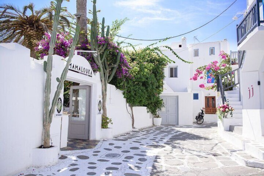 Mykonos Island Private Tour