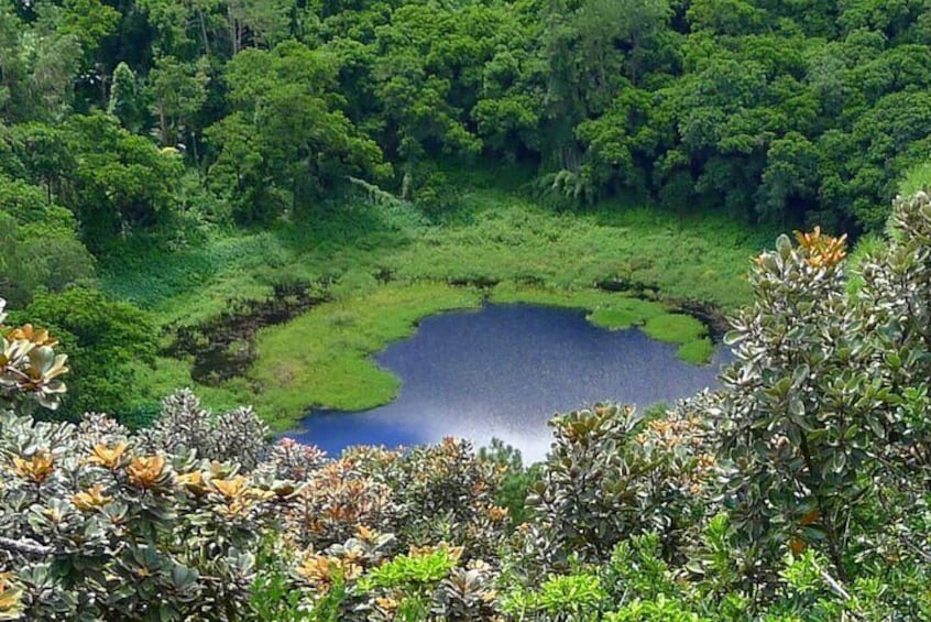 Trou Aux Cerfs Volcano